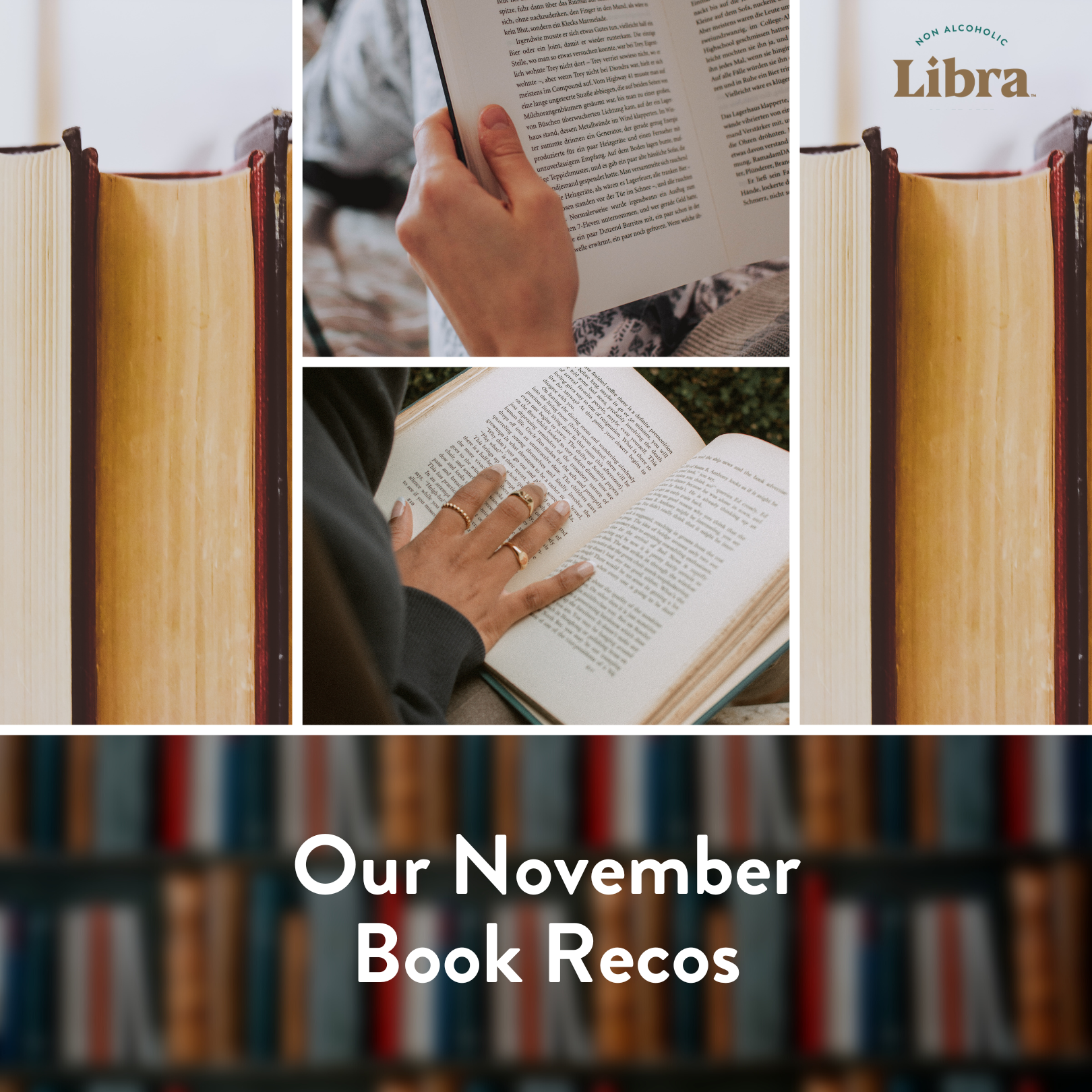 Our Book Reco's for November 📚